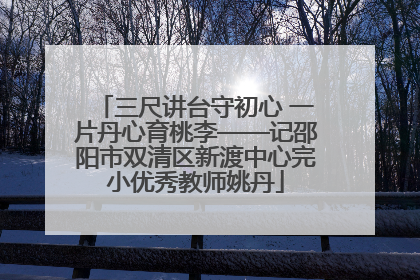 三尺讲台守初心 一片丹心育桃李——记邵阳市双清区新渡中心完小优秀教师姚丹