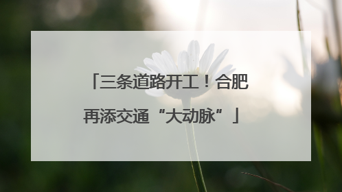 三条道路开工！合肥再添交通“大动脉”