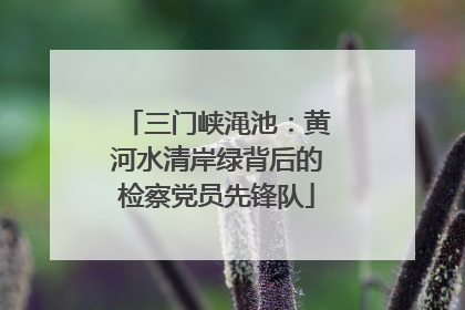 三门峡渑池：黄河水清岸绿背后的检察党员先锋队