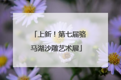 上新！第七届骆马湖沙雕艺术展
