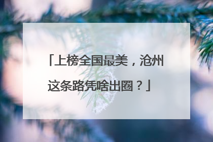 上榜全国最美，沧州这条路凭啥出圈？