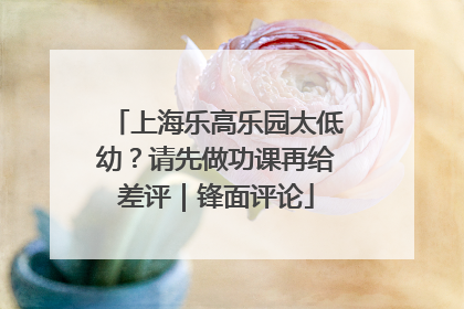 上海乐高乐园太低幼？请先做功课再给差评｜锋面评论