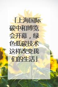 上海国际碳中和博览会开幕，绿色低碳技术这样改变我们的生活