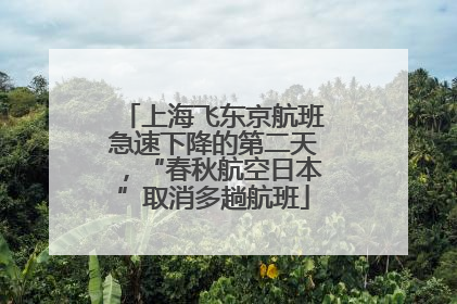 上海飞东京航班急速下降的第二天，“春秋航空日本”取消多趟航班
