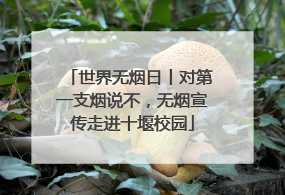 世界无烟日丨对第一支烟说不，无烟宣传走进十堰校园