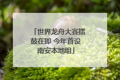 世界龙舟大赛擂鼓在即 今年首设南安本地组