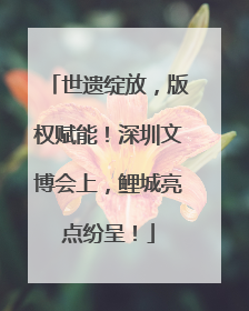 世遗绽放，版权赋能！深圳文博会上，鲤城亮点纷呈！