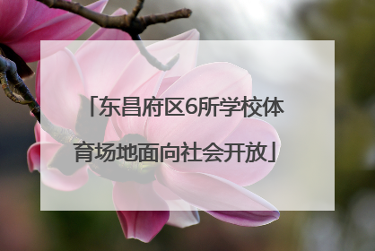 东昌府区6所学校体育场地面向社会开放