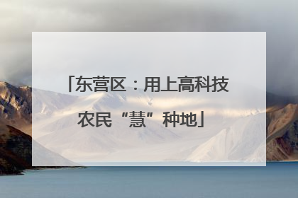 东营区：用上高科技 农民“慧”种地