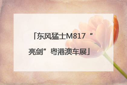 东风猛士M817“亮剑”粤港澳车展