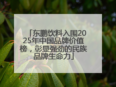 东鹏饮料入围2025年中国品牌价值榜，彰显强劲的民族品牌生命力