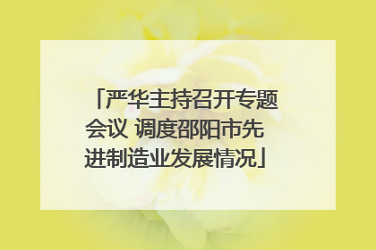 严华主持召开专题会议 调度邵阳市先进制造业发展情况