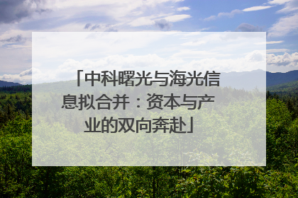 中科曙光与海光信息拟合并：资本与产业的双向奔赴