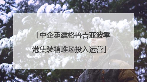 中企承建格鲁吉亚波季港集装箱堆场投入运营