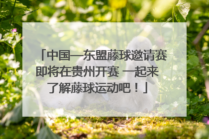 中国—东盟藤球邀请赛即将在贵州开赛 一起来了解藤球运动吧！