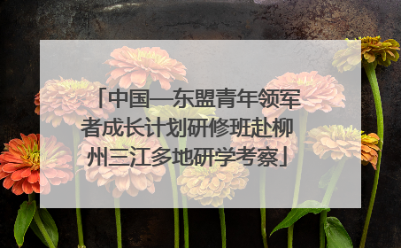 中国—东盟青年领军者成长计划研修班赴柳州三江多地研学考察
