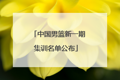 中国男篮新一期集训名单公布