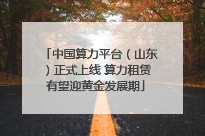 中国算力平台（山东）正式上线 算力租赁有望迎黄金发展期