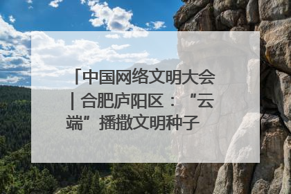 中国网络文明大会｜合肥庐阳区：“云端”播撒文明种子 共建清朗网络空间
