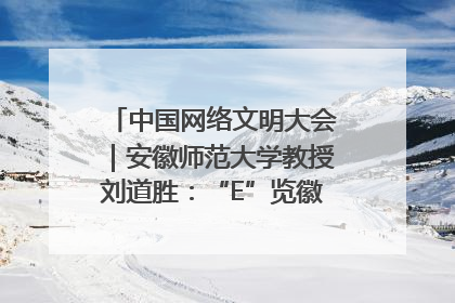 中国网络文明大会｜安徽师范大学教授刘道胜：“E”览徽风，构筑中华民族共有精神家园