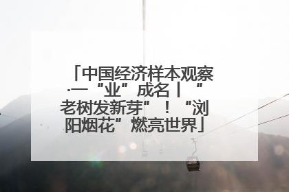 中国经济样本观察·一“业”成名丨“老树发新芽”！“浏阳烟花”燃亮世界