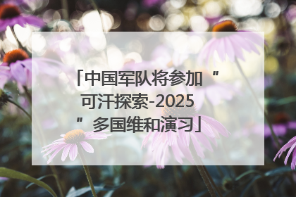 中国军队将参加“可汗探索-2025”多国维和演习