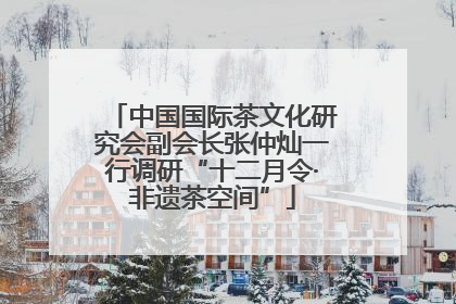 中国国际茶文化研究会副会长张仲灿一行调研“十二月令·非遗茶空间”