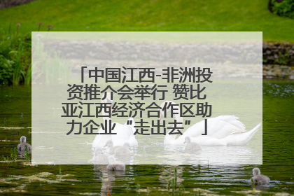 中国江西-非洲投资推介会举行 赞比亚江西经济合作区助力企业“走出去”