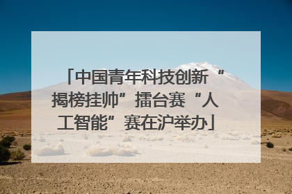 中国青年科技创新“揭榜挂帅”擂台赛“人工智能”赛在沪举办
