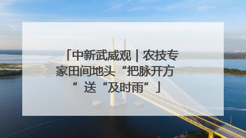 中新武威观｜农技专家田间地头“把脉开方”送“及时雨”