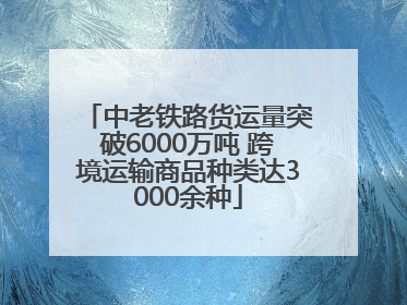 中老铁路货运量突破6000万吨 跨境运输商品种类达3000余种