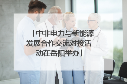 中非电力与新能源发展合作交流对接活动在岳阳举办