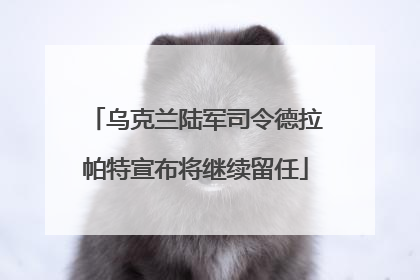 乌克兰陆军司令德拉帕特宣布将继续留任