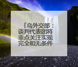 乌外交部：谈判代表团将重点关注实现完全和无条件停火