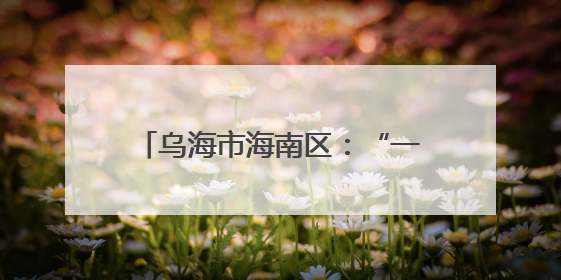 乌海市海南区：“一站式”服务解锁基层治理“平安密码”