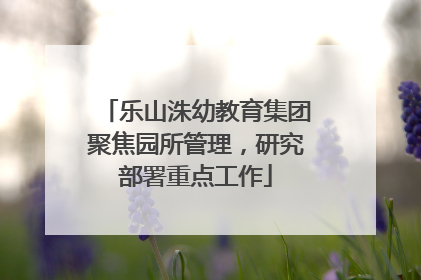 乐山洙幼教育集团聚焦园所管理，研究部署重点工作