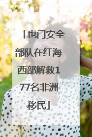 也门安全部队在红海西部解救177名非洲移民