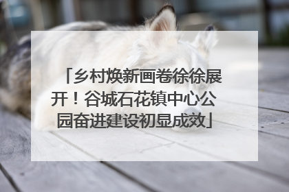 乡村焕新画卷徐徐展开！谷城石花镇中心公园奋进建设初显成效
