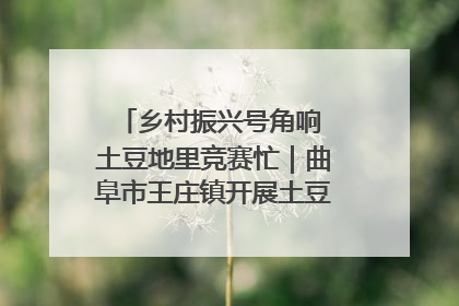 乡村振兴号角响 土豆地里竞赛忙｜曲阜市王庄镇开展土豆收获劳动竞赛