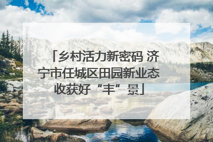 乡村活力新密码 济宁市任城区田园新业态收获好“丰”景