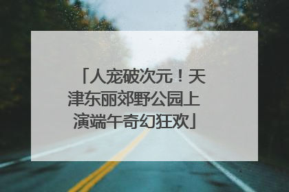 人宠破次元！天津东丽郊野公园上演端午奇幻狂欢