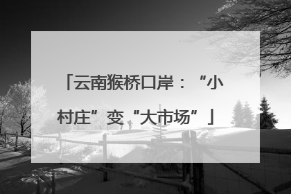 云南猴桥口岸：“小村庄”变“大市场”