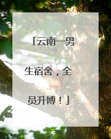 云南一男生宿舍，全员升博！