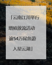 云南江川举行增殖放流活动 逾54万尾鱼游入星云湖