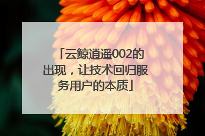 云鲸逍遥002的出现，让技术回归服务用户的本质