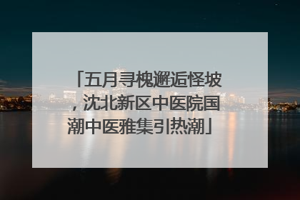 五月寻槐邂逅怪坡，沈北新区中医院国潮中医雅集引热潮