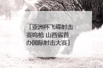 亚洲杯飞碟射击赛鸣枪 山西省首办国际射击大赛