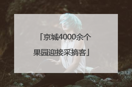 京城4000余个果园迎接采摘客