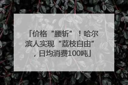 价格“腰斩”！哈尔滨人实现“荔枝自由”，日均消费100吨