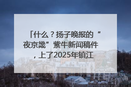 什么？扬子晚报的“夜京畿”紫牛新闻稿件，上了2025年镇江中考模拟卷！